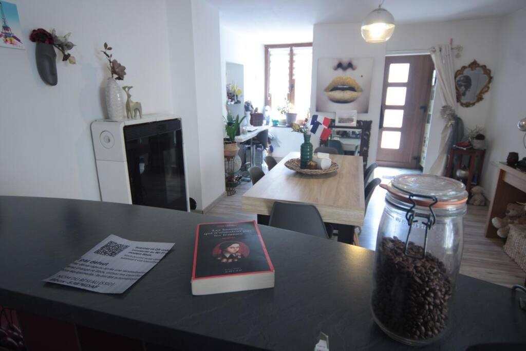 Appartement 90 M2 Vic-sur-Seille 外观 照片