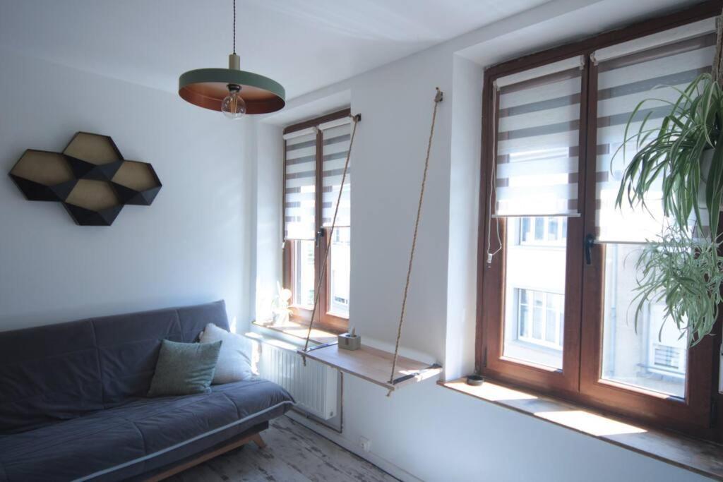 Appartement 90 M2 Vic-sur-Seille 外观 照片