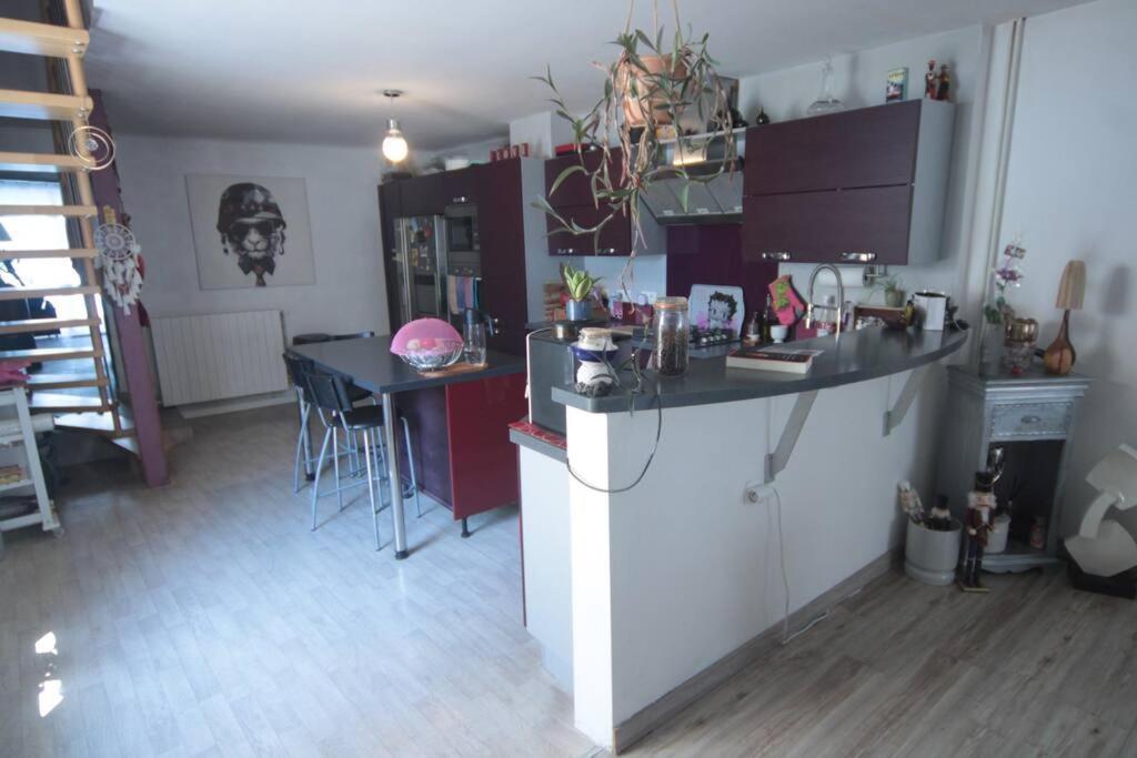Appartement 90 M2 Vic-sur-Seille 外观 照片