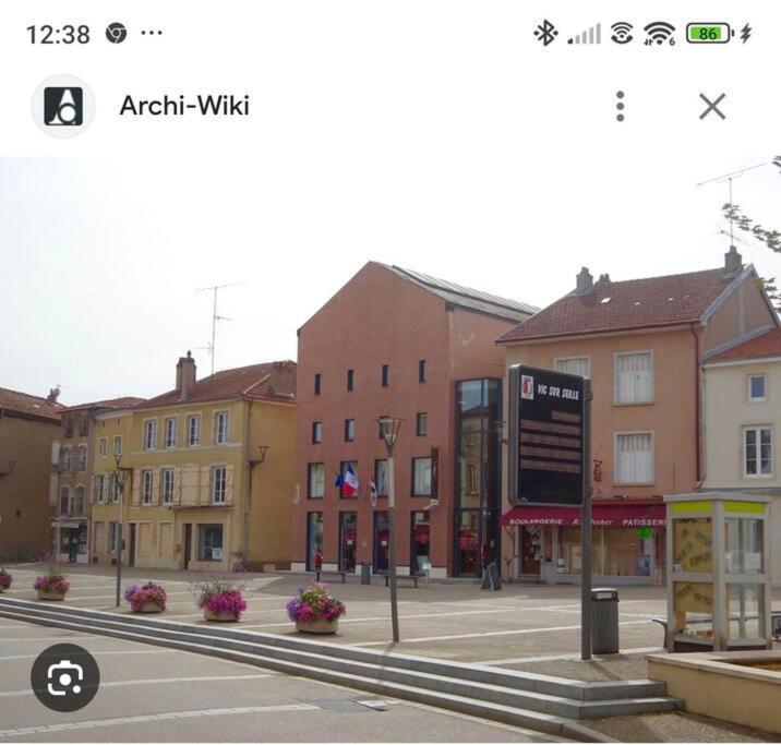 Appartement 90 M2 Vic-sur-Seille 外观 照片